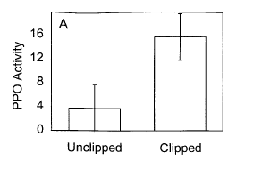 production of polyphenol oxidase in tobacco plants by clipped & unclipped sagebrush.png