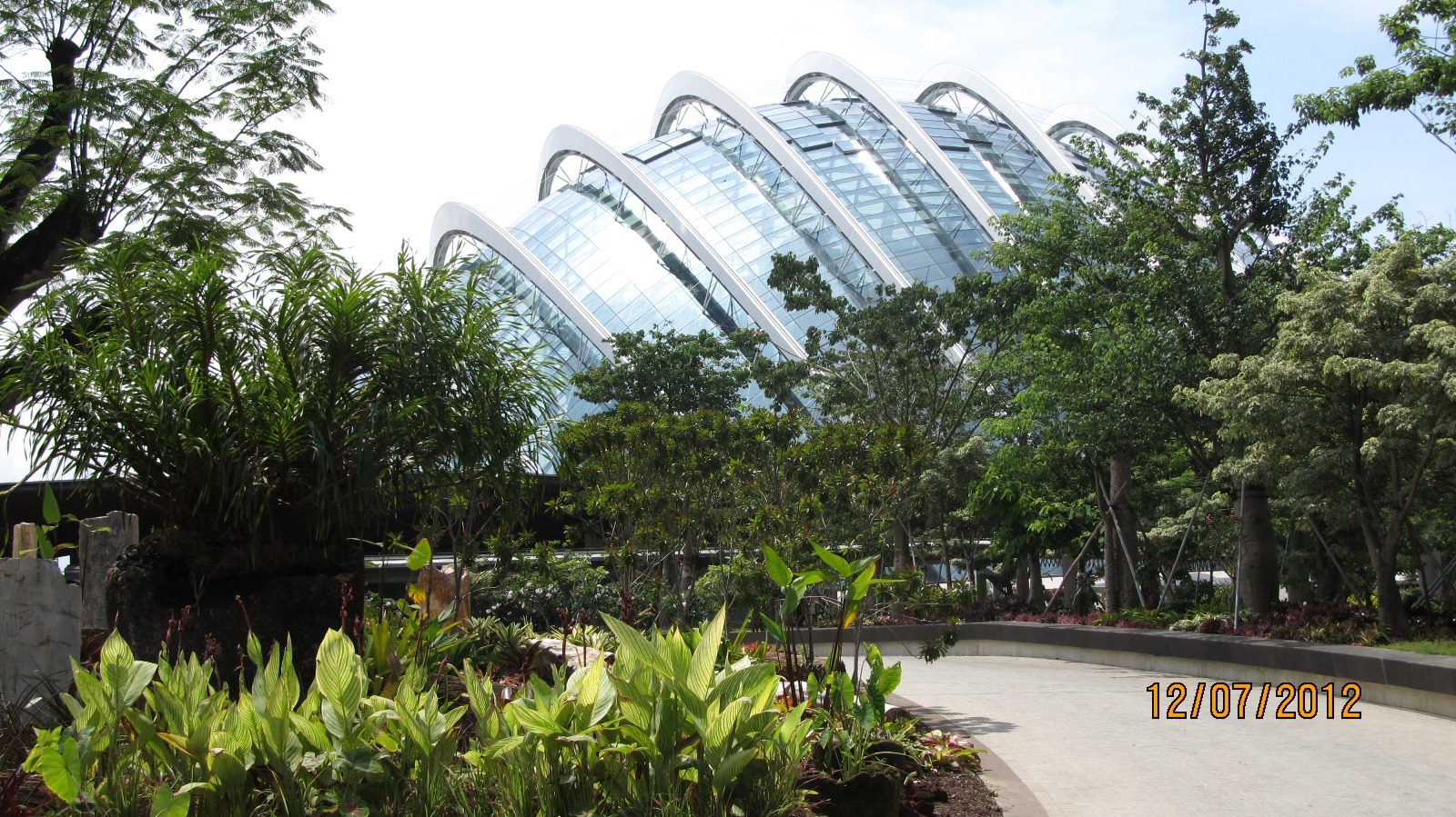 singapore conservatory dome.jpg
